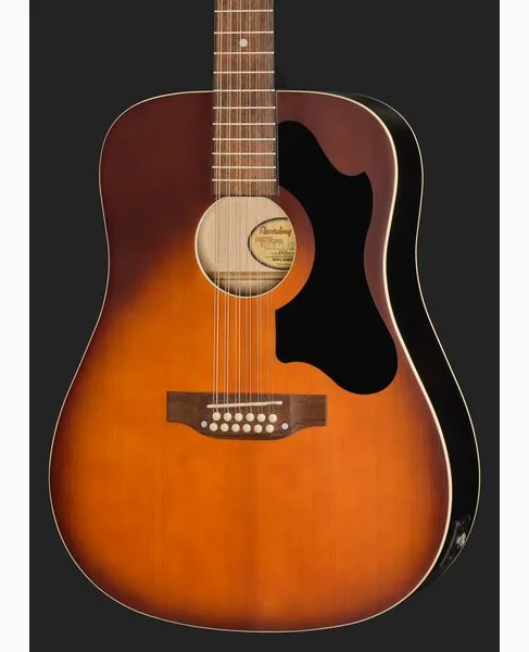 Recording King Dirty 30s Series 9 12-String detail 4