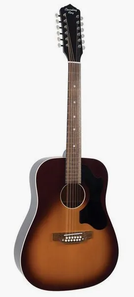 Recording King RDS-9-12-TS 12 String vooraanzicht