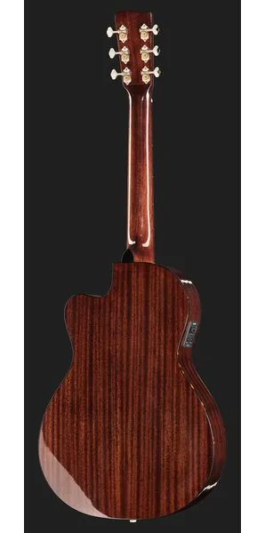 Recording King RP-G6-CFE5 detail 3