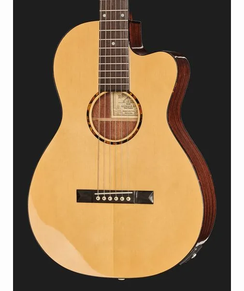 Recording King RP-G6-CFE5 detail 4