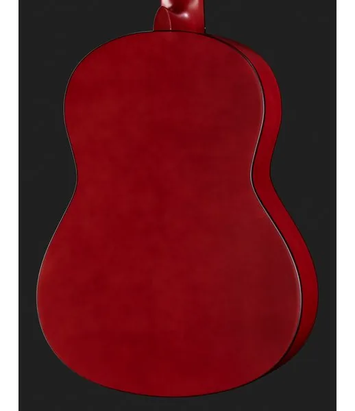 Startone CG 851 3/4 detail 5