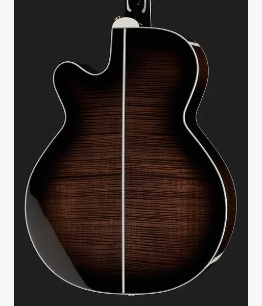 Takamine EF450C-TT TBB w/Softcase detail 5