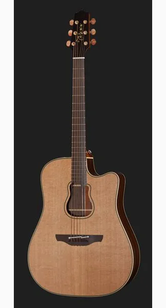 Takamine GB7C w/Softcase detail 2