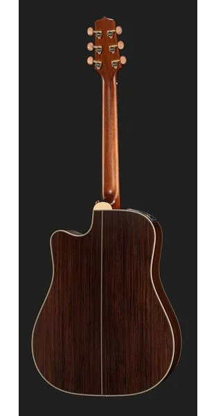Takamine GB7C w/Softcase detail 3