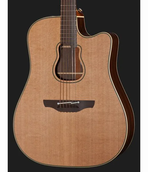 Takamine GB7C w/Softcase detail 4