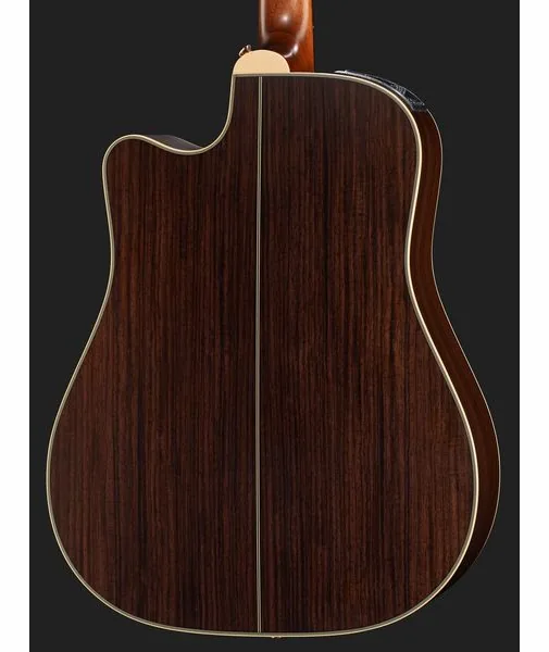 Takamine GB7C w/Softcase detail 5
