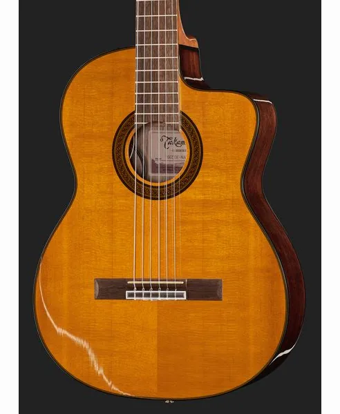 Takamine GC5CE Natural w/Bag detail 4