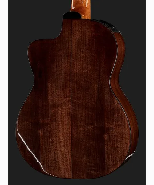 Takamine GC5CE Natural w/Bag detail 5