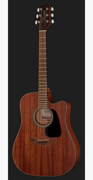 Takamine GD11MCENS detail 2