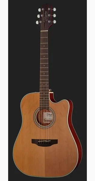 Takamine GD20CE-N detail 2
