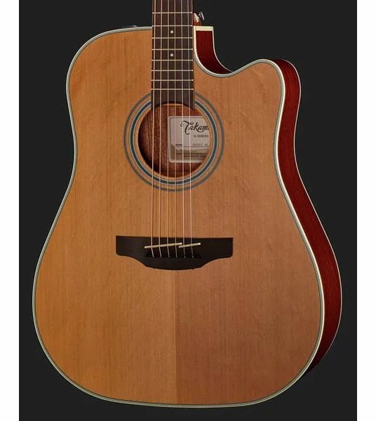 Takamine GD20CE-N detail 4