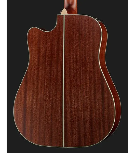 Takamine GD20CE-N detail 5