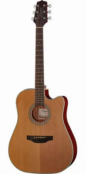 Takamine GD20CE-N vooraanzicht