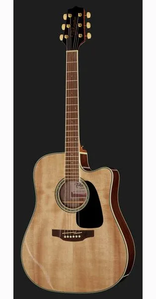 Takamine GD51CE-NAT detail 2