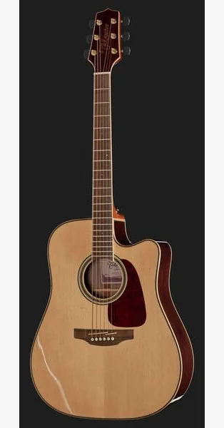 Takamine GD93CE-NAT detail 2
