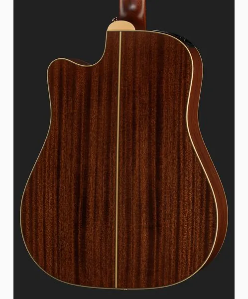 Takamine P3DC-12 w/Softcase detail 5