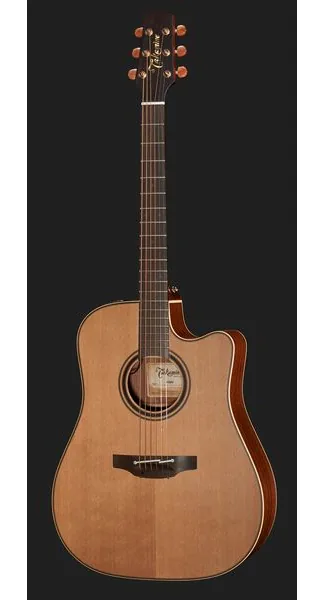 Takamine P3DC w/Softcase detail 2
