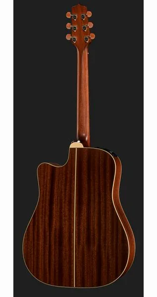 Takamine P3DC w/Softcase detail 3