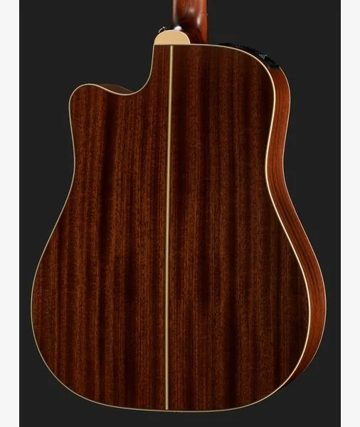 Takamine P3DC w/Softcase detail 5