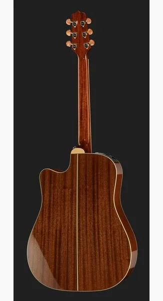 Takamine P4DC w/Softcase detail 3