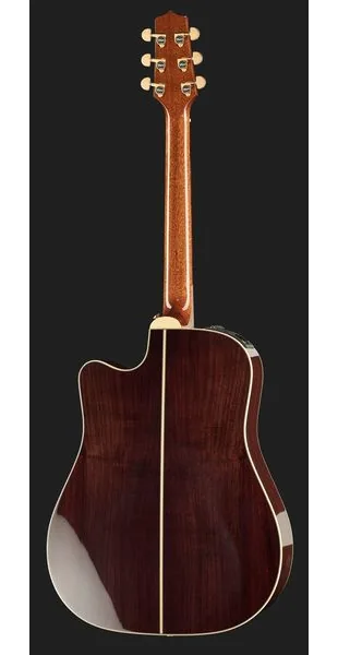 Takamine P5DC w/Softcase detail 3