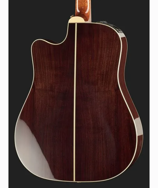 Takamine P5DC w/Softcase detail 5