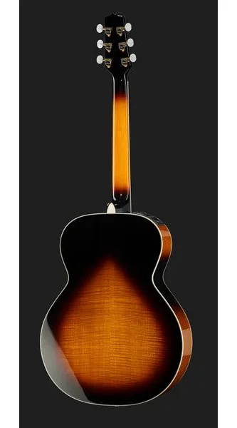 Takamine P6N-BSB w/Softcase detail 3