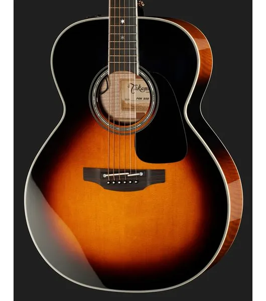 Takamine P6N-BSB w/Softcase detail 4
