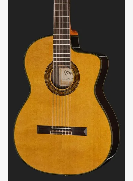 Takamine EC132SC w/Softcase detail 4