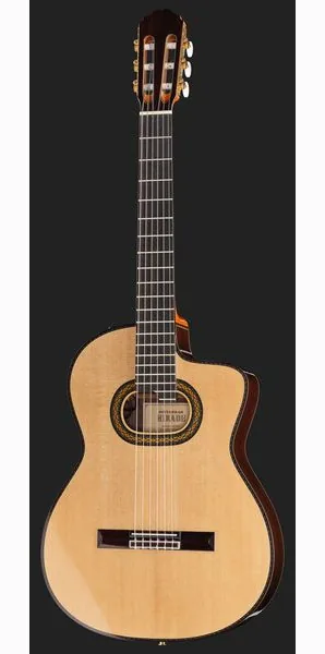 Takamine DH90 w/Softcase detail 2
