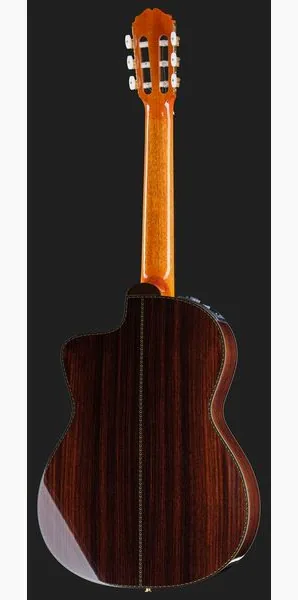 Takamine DH90 w/Softcase detail 3