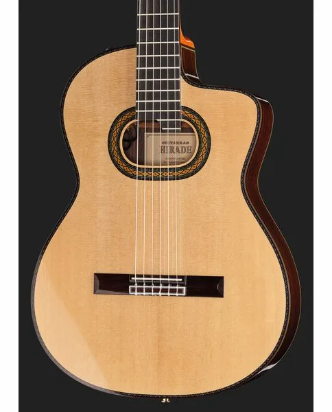 Takamine DH90 w/Softcase detail 4