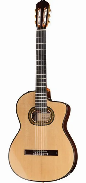 Takamine DH90 w/Softcase vooraanzicht