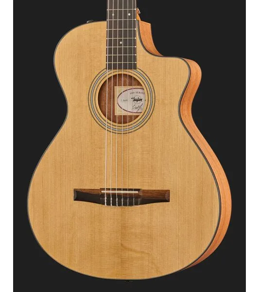 Taylor 112ce-N detail 4