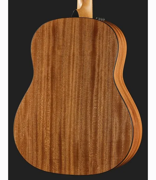 Taylor 117e Grand Pacific Eucalyptus detail 5