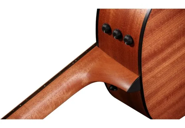 Taylor 117e Special Edition DTB detail 4