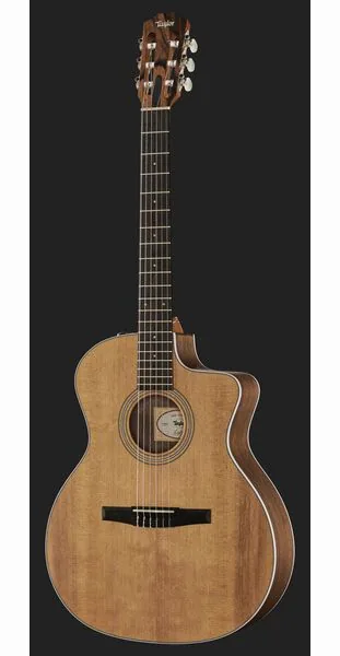 Taylor 214ce-N Spruce/Walnut detail 2