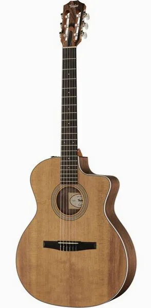 Taylor 214ce-N Spruce/Walnut vooraanzicht