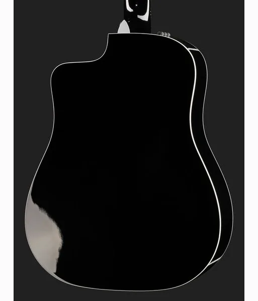Taylor 250ce-BLK Plus detail 5