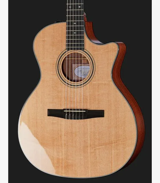 Taylor 314ce-N detail 4