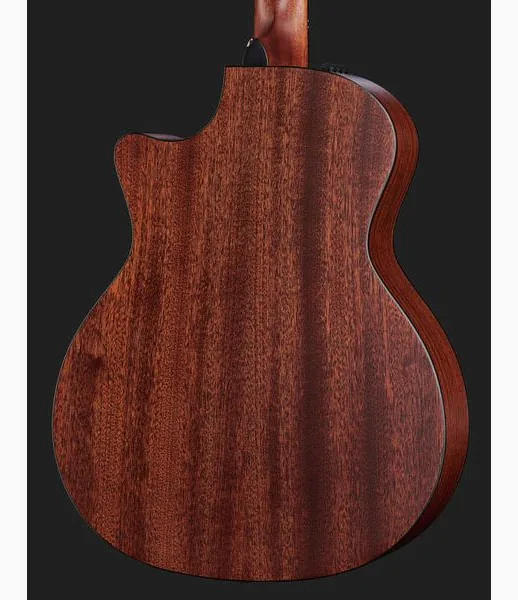 Taylor 314ce-N detail 5