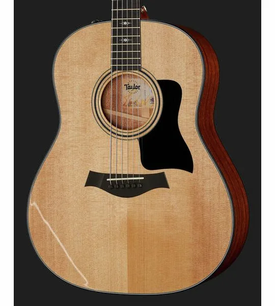 Taylor 317e V-Class detail 4