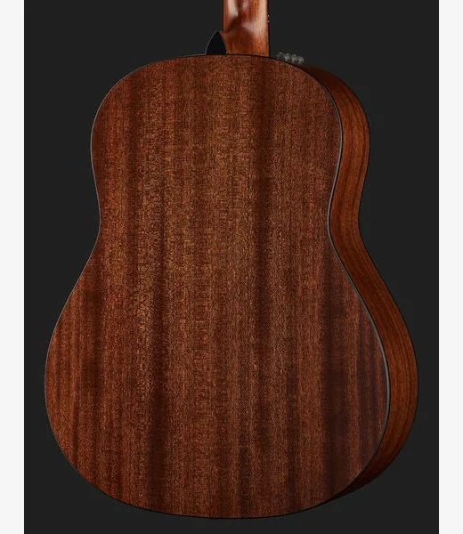 Taylor 317e V-Class detail 5