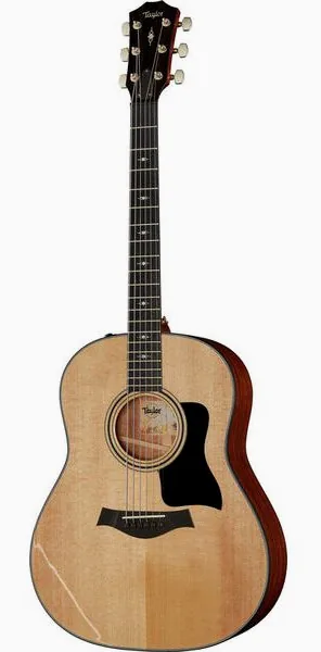 Taylor 317e V-Class vooraanzicht