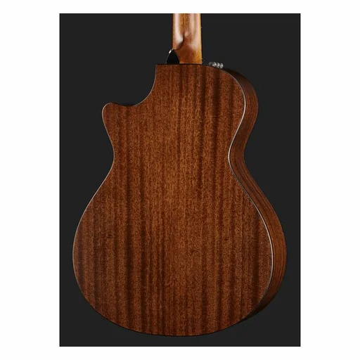 Taylor 352ce 12-string detail 5
