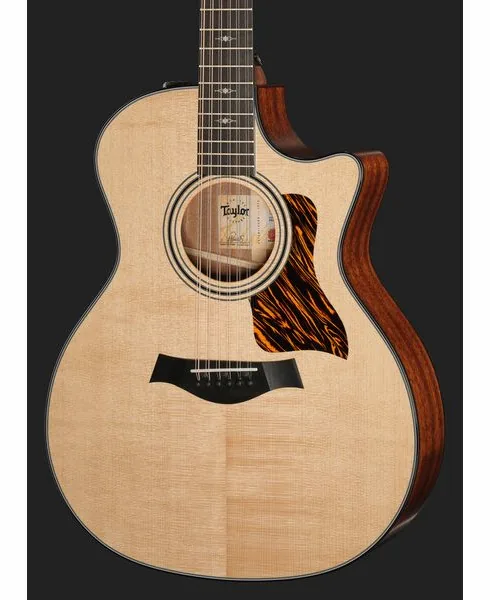 Taylor 354ce detail 4