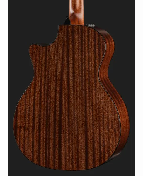 Taylor 354ce detail 5
