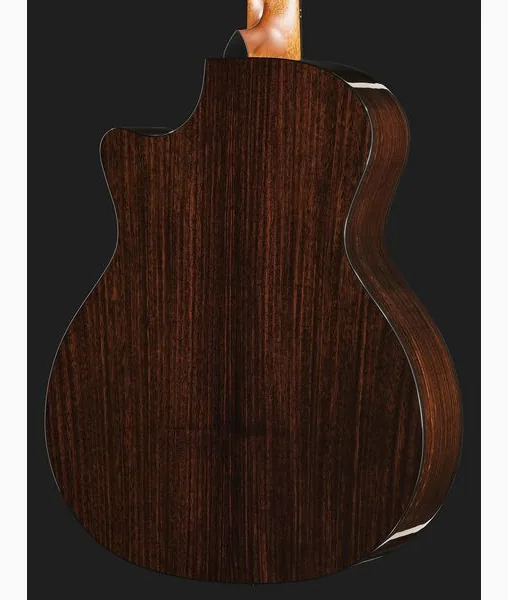 Taylor 454ce Next Generation detail 5
