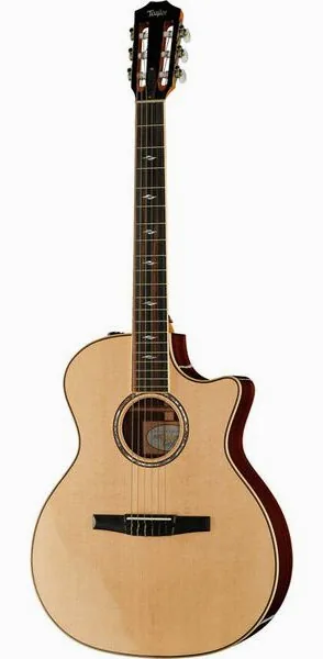 Taylor 814ce-N vooraanzicht