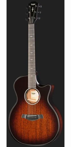 Taylor BE 324ce Next Generation detail 2
